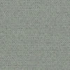 BROOME_II_Mink