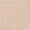 Carnation_fs